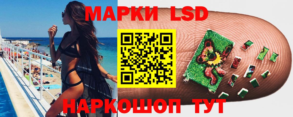 Наркотические марки 1,5мг  Вход с VPN  Губаха  Наркотические марки 1,5мг 