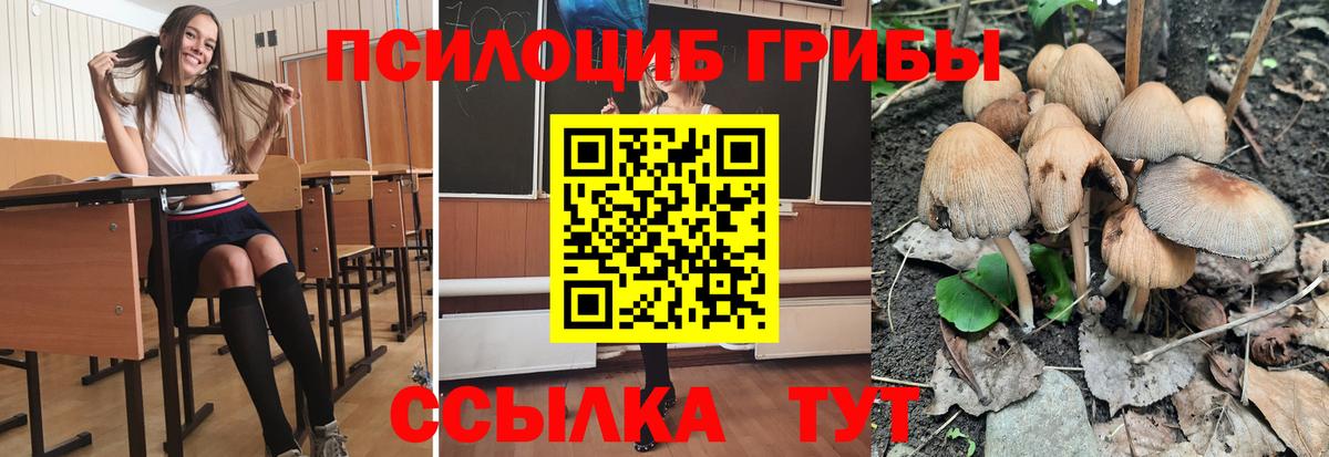 Галлюциногенные грибы мицелий Губаха