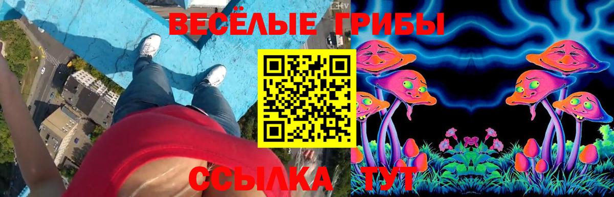Галлюциногенные грибы GOLDEN TEACHER  Вход с VPN  Губаха 